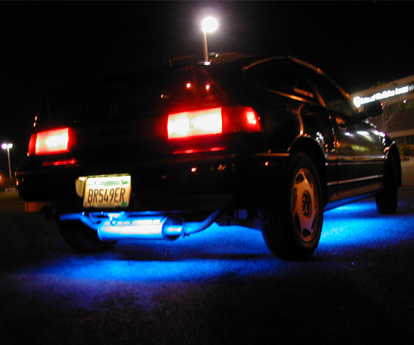 Neons.jpg
