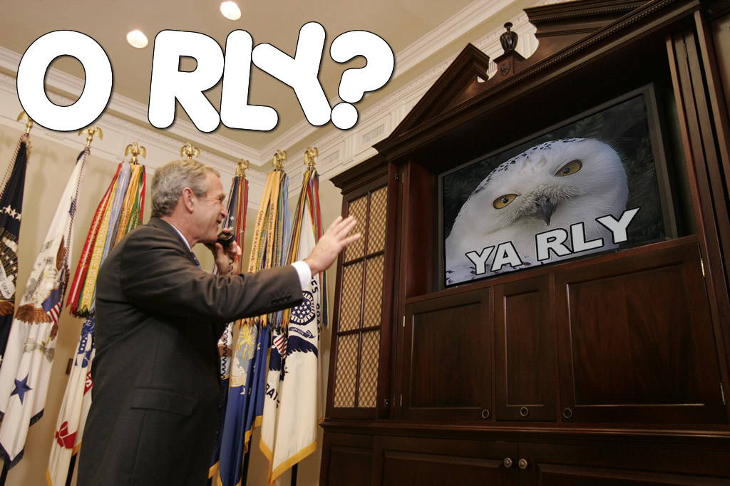 orlyscreen.jpg