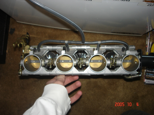 DSC00671.JPG