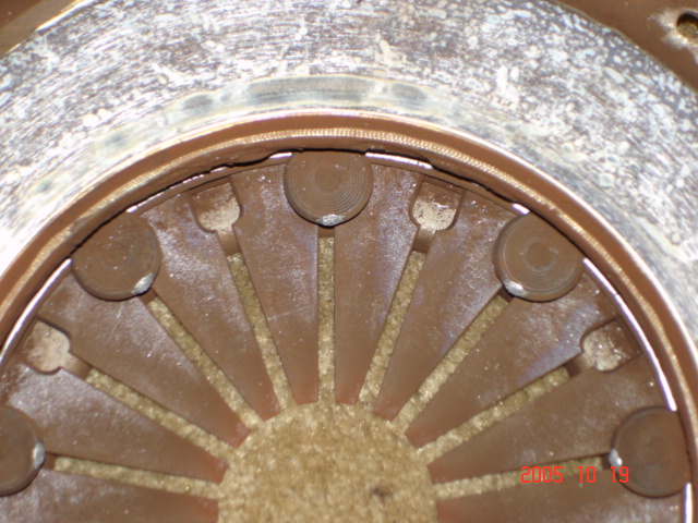 DSC00735.JPG