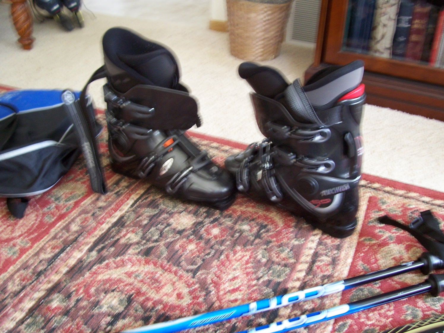 000_0142.JPG
