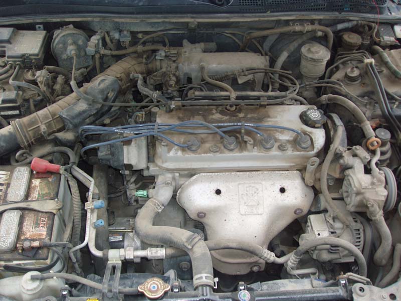 Picture 001.jpg