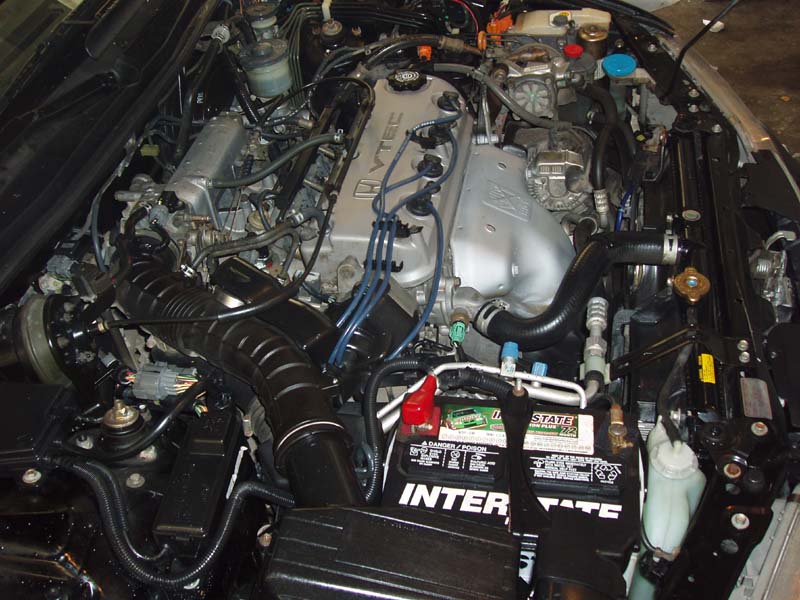 Picture 03.jpg
