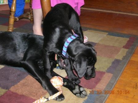 Misc. Pics 077.jpg