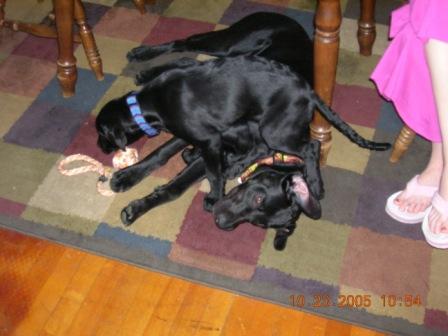 Misc. Pics 078.jpg