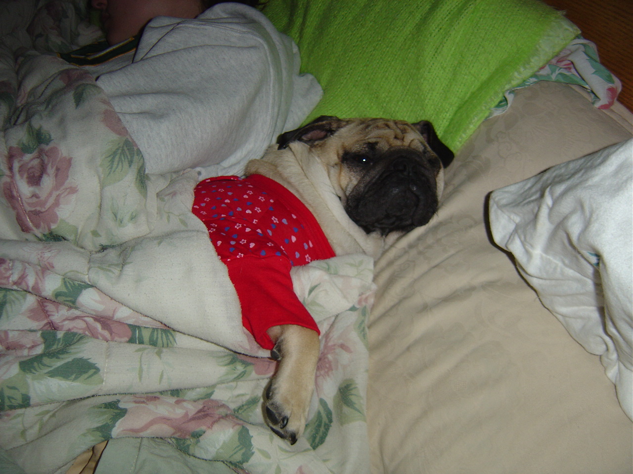 Picture 137.jpg