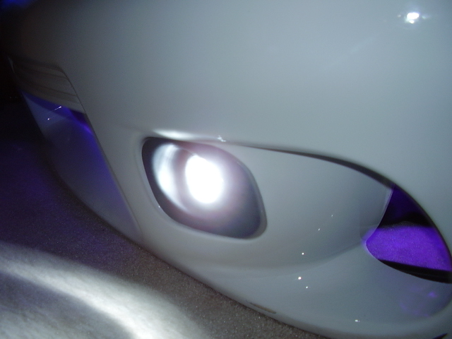 bumper pics 006.jpg