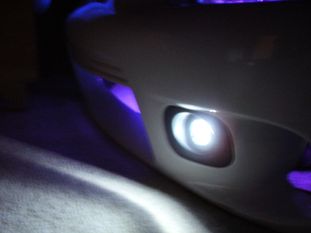 bumper pics 007.jpg