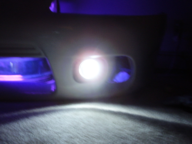 bumper pics 010.jpg