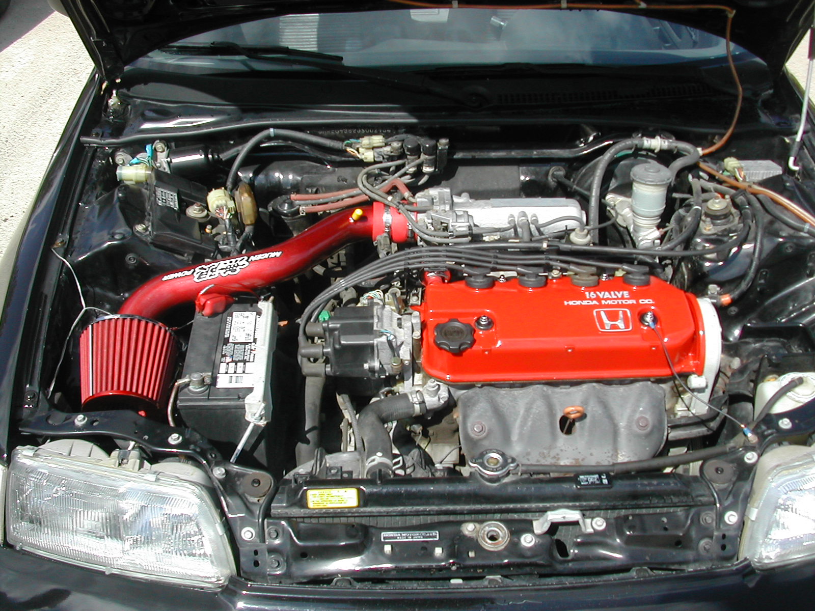 DSCN1455.JPG