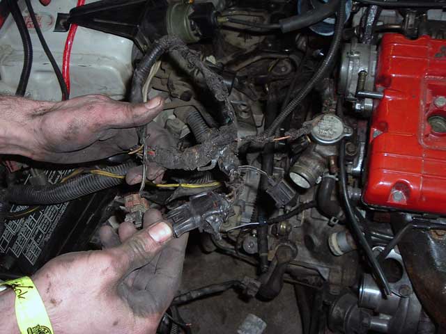 DSCF1059.jpg