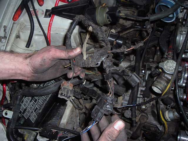 DSCF1061.jpg
