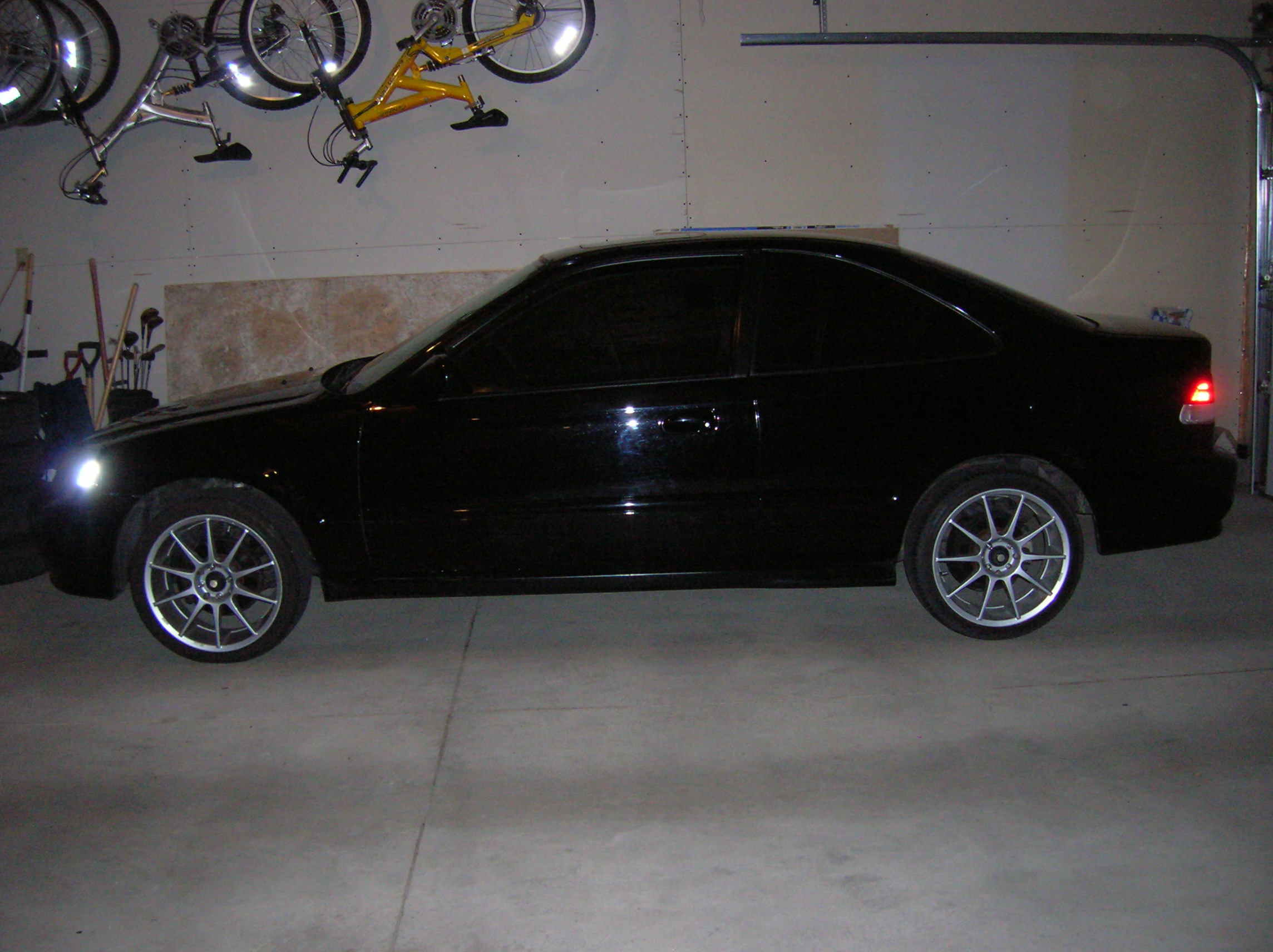 Picture 176.jpg