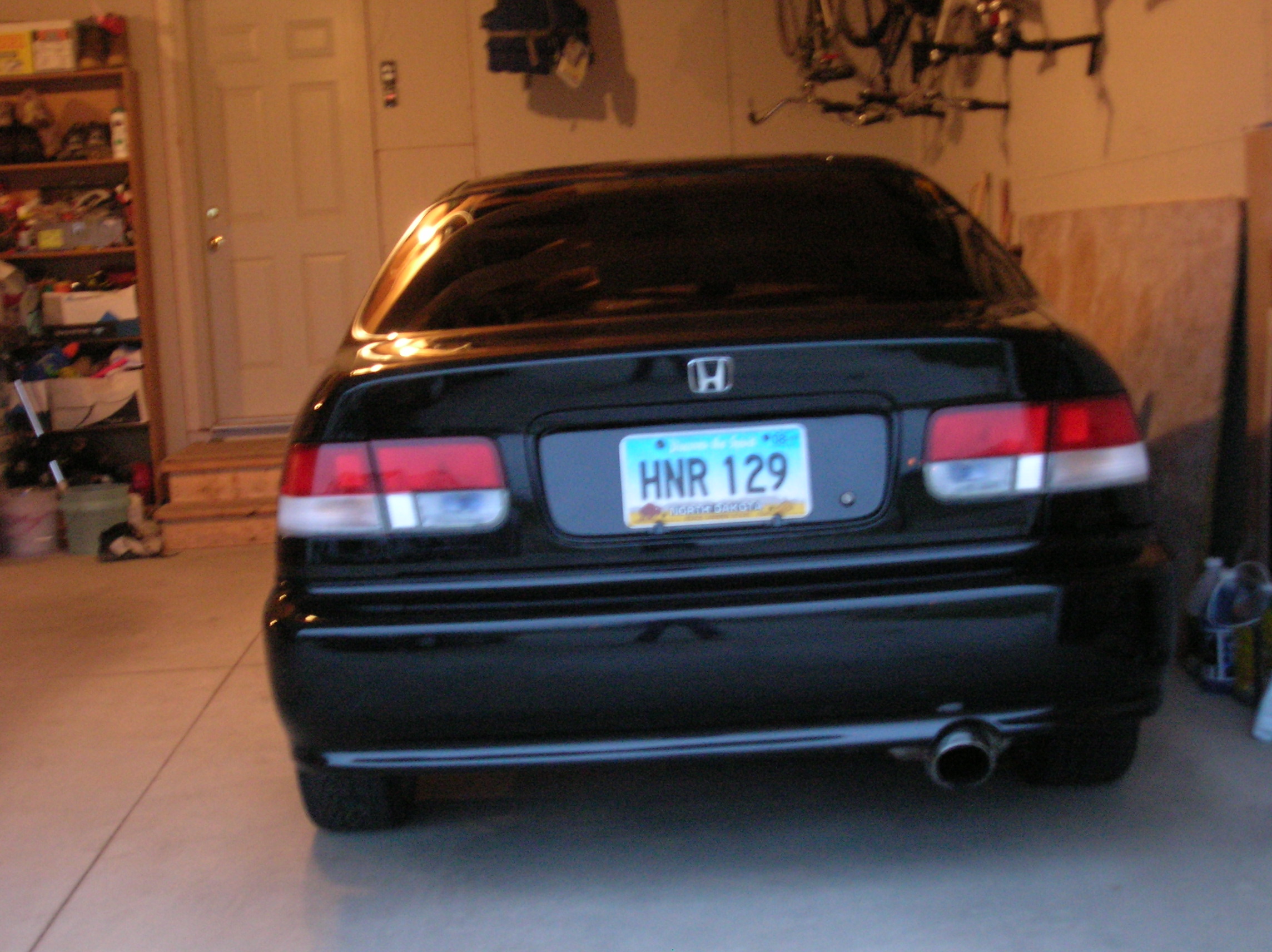 Picture 177.jpg