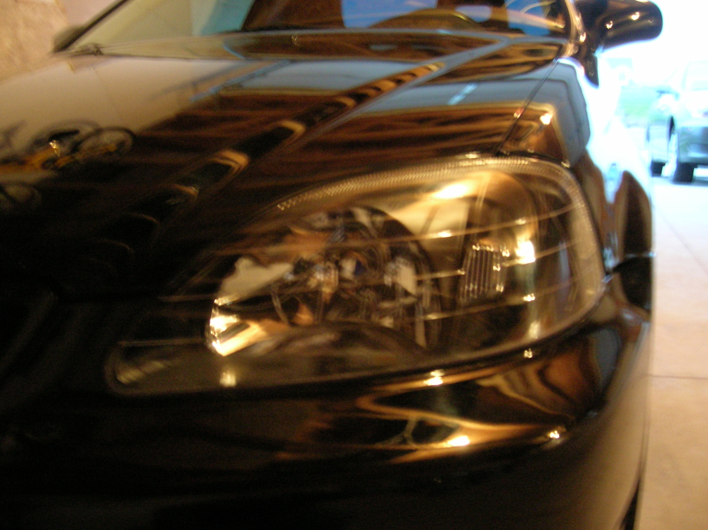 Picture 179.jpg