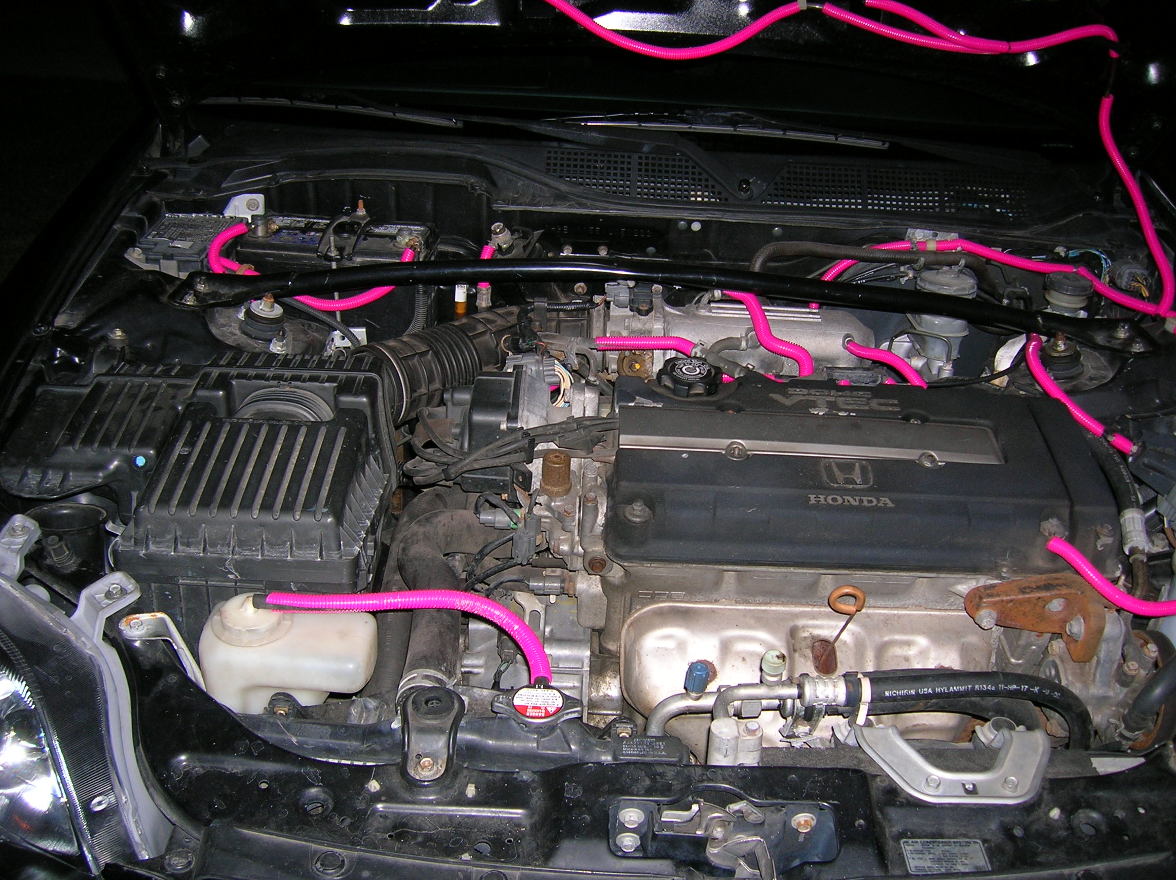 Picture 191.jpg