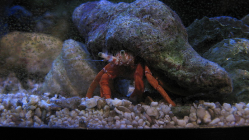 IMG_0072.jpg