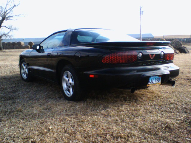 Rear angle 2.jpg