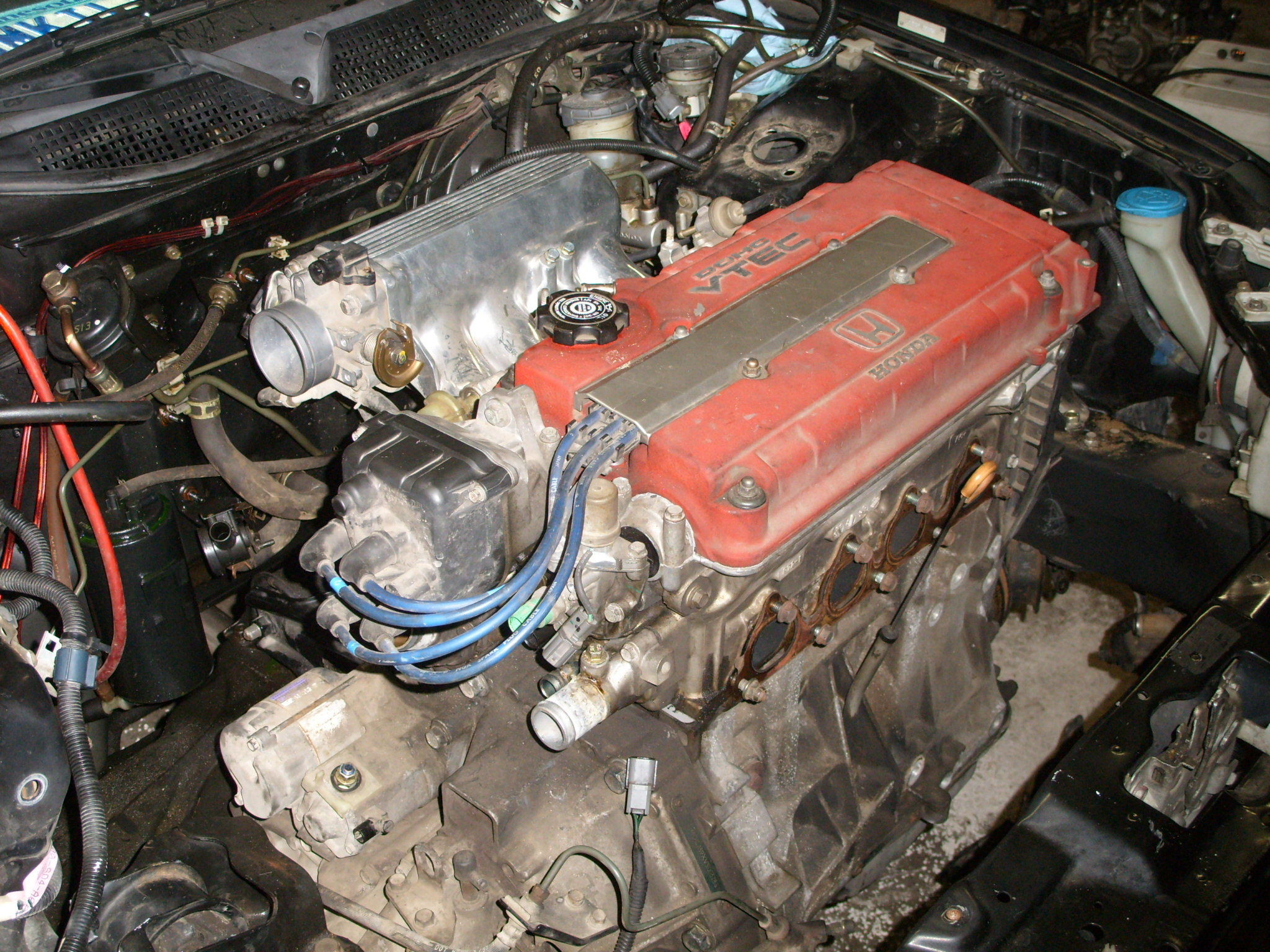 STP80392.JPG