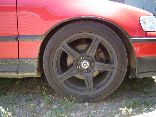 DSC02494.JPG