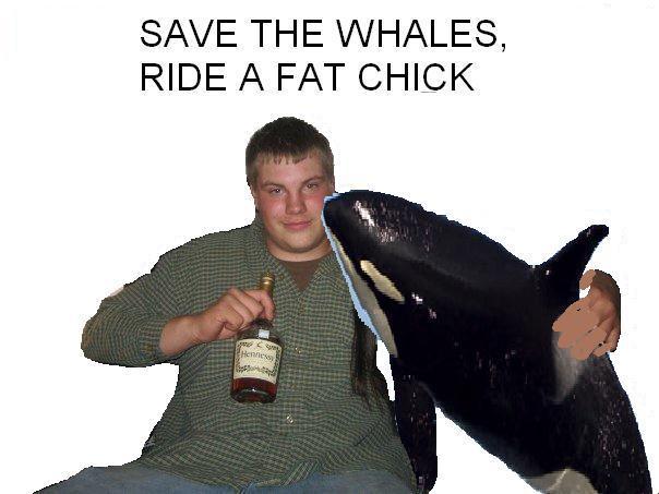 savethewhales2.JPG