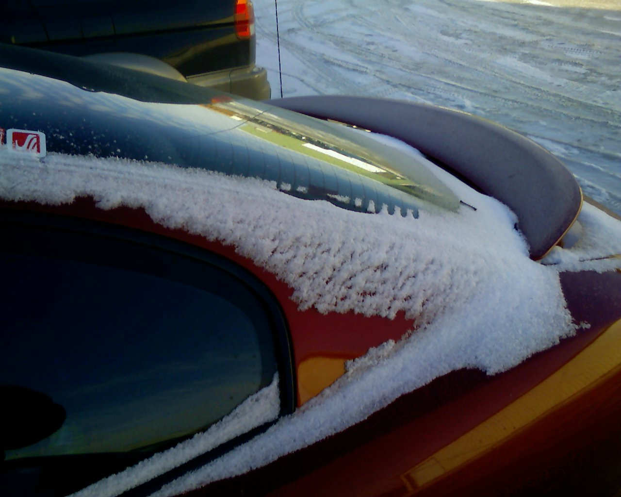 sunfire mid jan no snow_.jpg