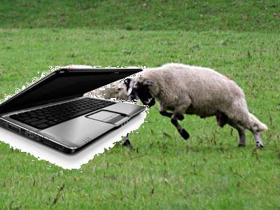002-rams-201006.jpg