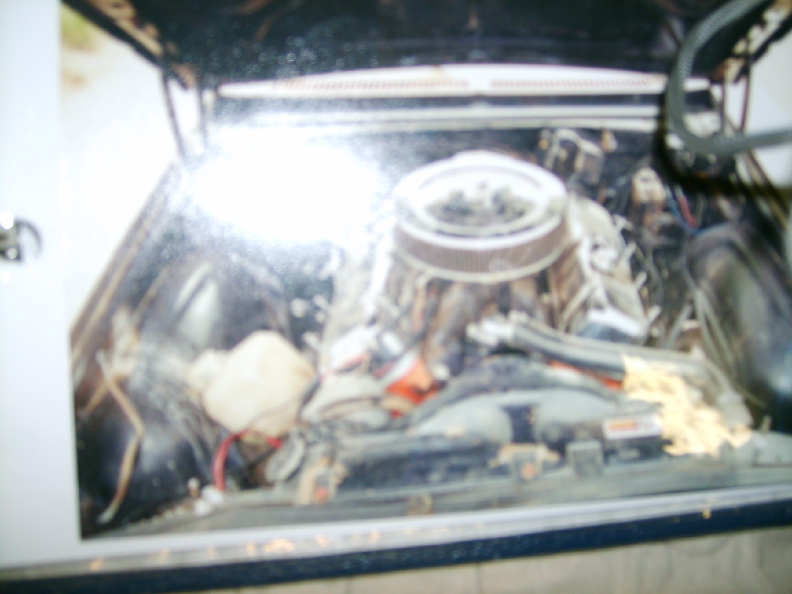 motor omega.jpg