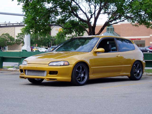 gold hatch.jpg