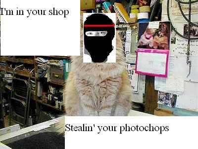 cat2.JPG