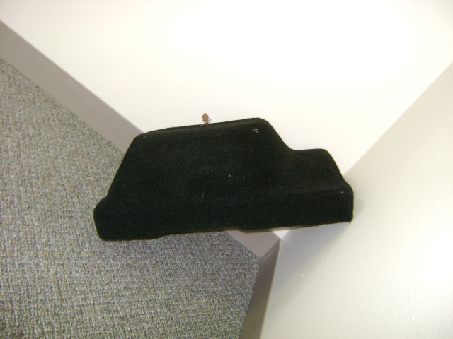 jl 002.JPG