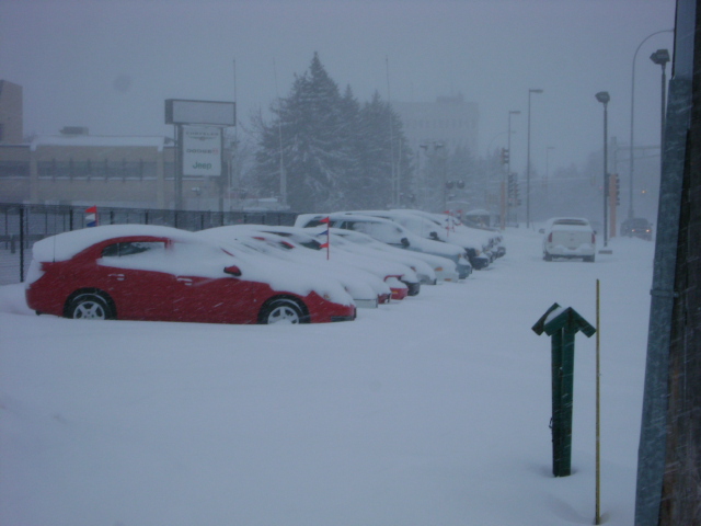 snowy 001.JPG