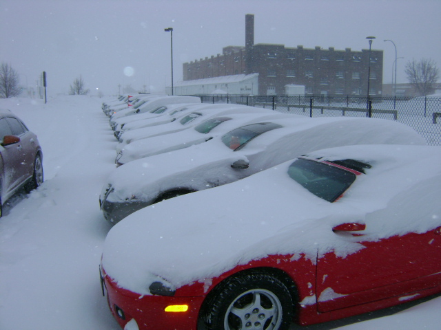 snowy 002.JPG