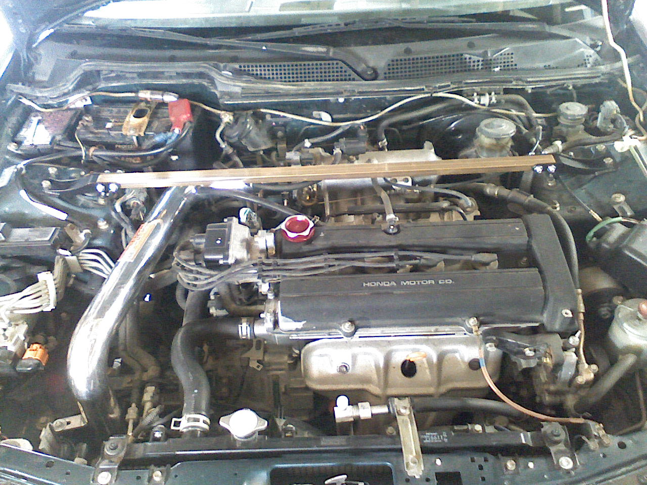 0310081700a.jpg