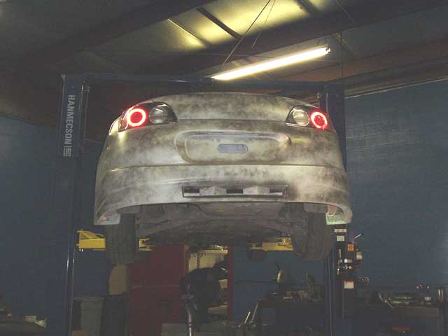 spyder_wide_2.jpg