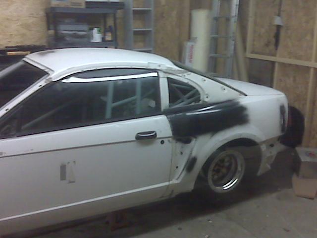 mustang3.jpg