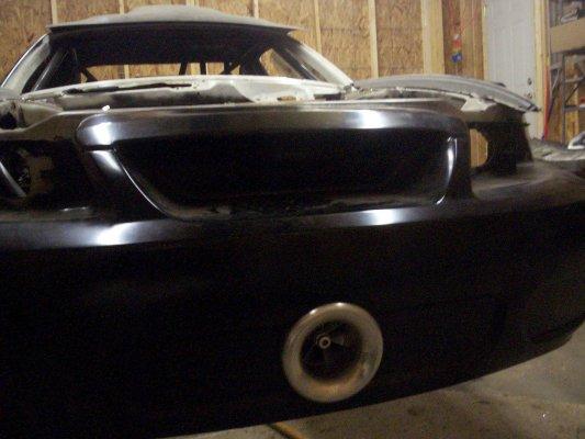 mustang29.jpg