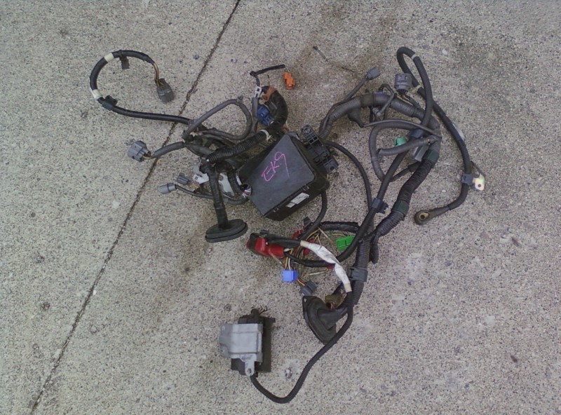 ek9harness.jpg
