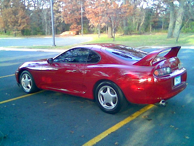 supra 1.jpg