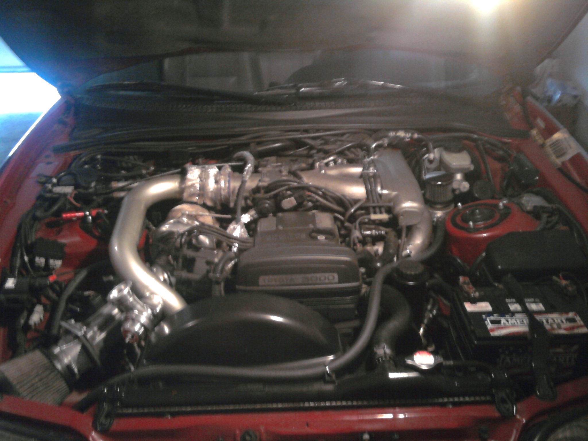 supra 6.jpg