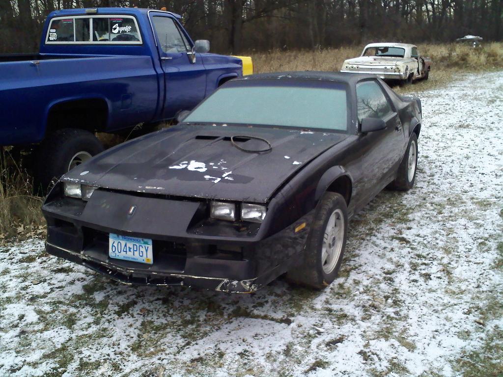 1202081008 m.JPG