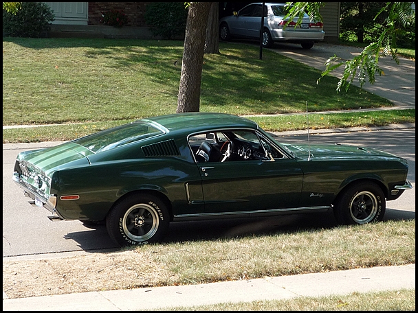 mustang2.jpg