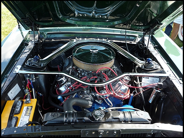 mustang4.jpg