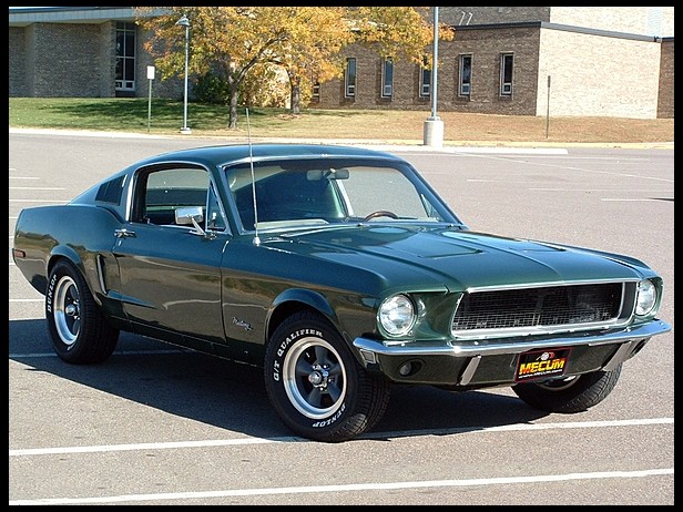 mustang1.jpg