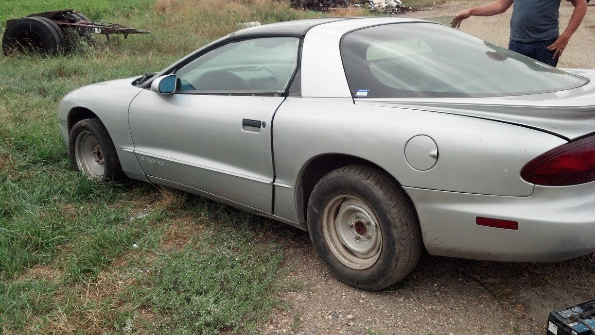 Firebird.jpg
